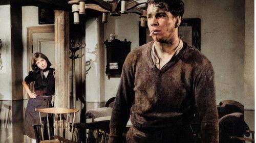 The Fair filmas žiurėti online