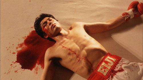 Knockout filmas žiurėti online