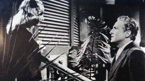 Passport to Rio filmas žiurėti online