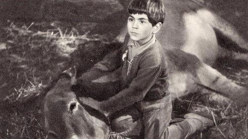 Never Take No for an Answer filmas žiurėti online