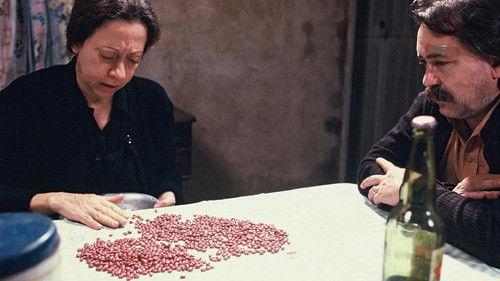 Eles Não Usam Black-Tie filmas žiurėti online