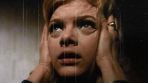 Daddy, Darling filmas žiurėti online