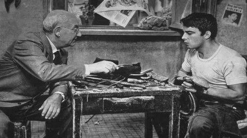 Gold of Rome filmas žiurėti online