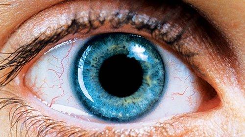 Rekviem svajonei filmas žiurėti online