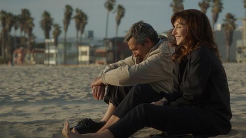 Brahmin Bulls filmas žiurėti online