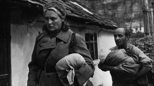 Komisarė filmas žiurėti online