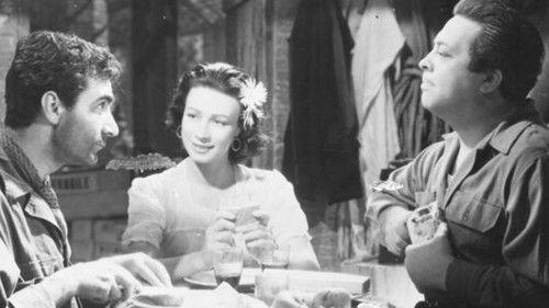 Tombolo, paradiso nero filmas žiurėti online