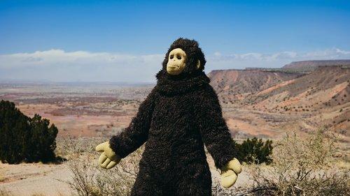 Sunlight filmas žiurėti online