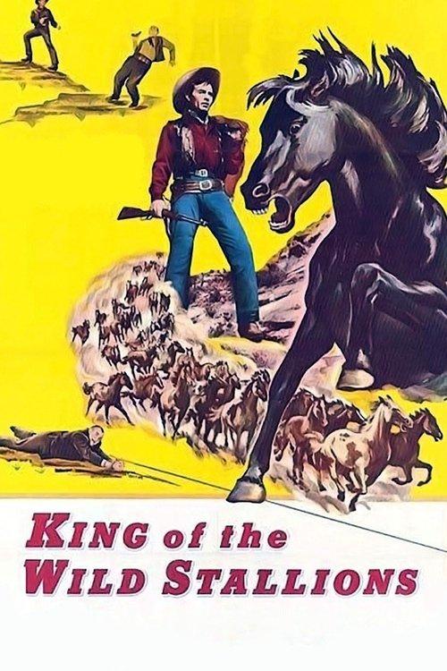 King of the Wild Stallions filmas online