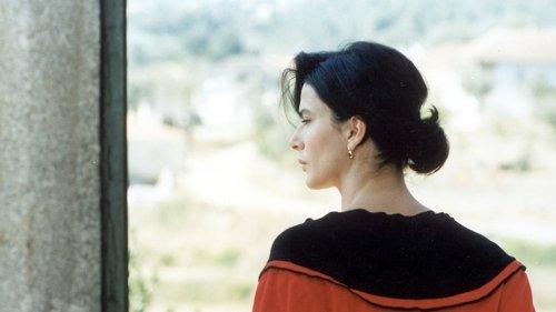 Where the Sun Beats filmas žiurėti online