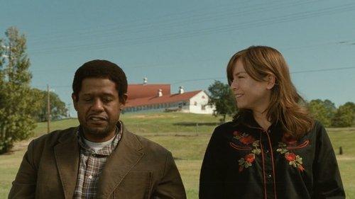 My Own Love Song filmas žiurėti online