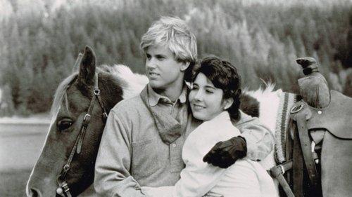 Bonanza: The Next Generation filmas žiurėti online