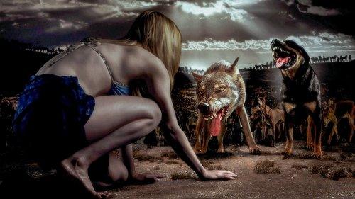 The Breed filmas žiurėti online