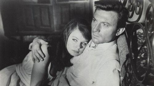 The Ceremony filmas žiurėti online