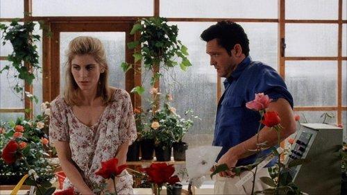 A House in the Hills filmas žiurėti online