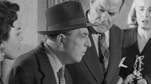 Jealous like a Cat filmas žiurėti online