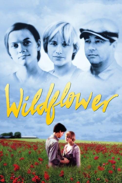 Wildflower filmas online