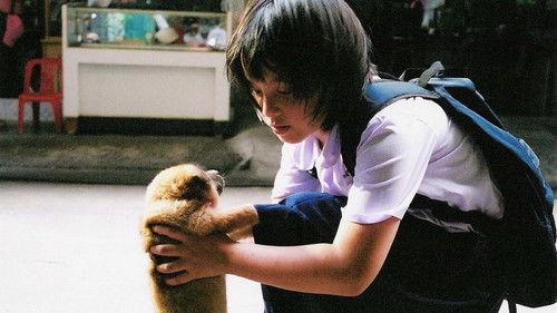 A Bite of Love filmas žiurėti online