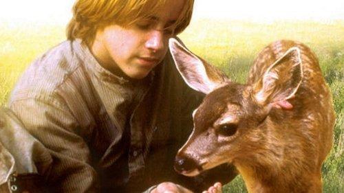 The Yearling filmas žiurėti online