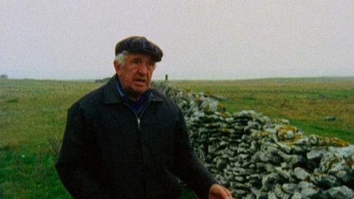 Fårö Document 1979 filmas žiurėti online