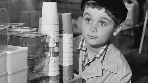 Bebert and the Train filmas žiurėti online