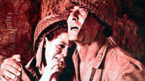 Guerillas in Pink Lace filmas žiurėti online