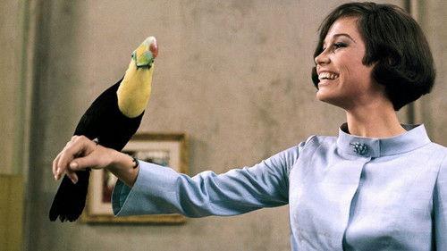 What's So Bad About Feeling Good? filmas žiurėti online