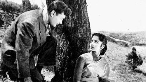 Kala Bazar filmas žiurėti online