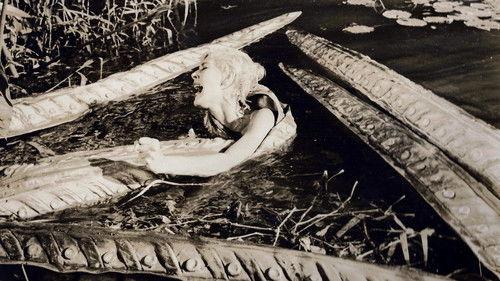 Voodoo Island filmas žiurėti online