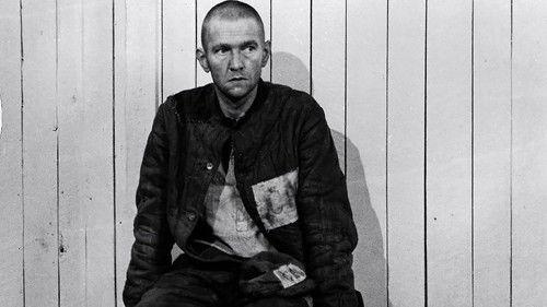 One Day in the Life of Ivan Denisovich filmas žiurėti online