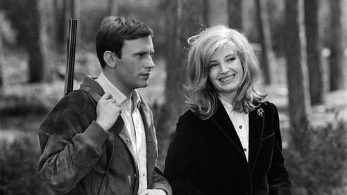 Nutty, Naughty Chateau filmas žiurėti online