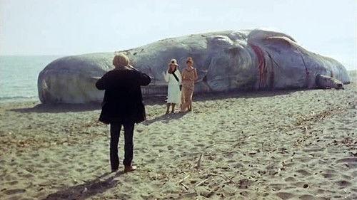 The Seed of Man filmas žiurėti online