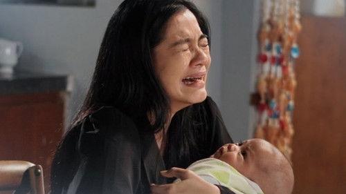 Tabayyun filmas žiurėti online