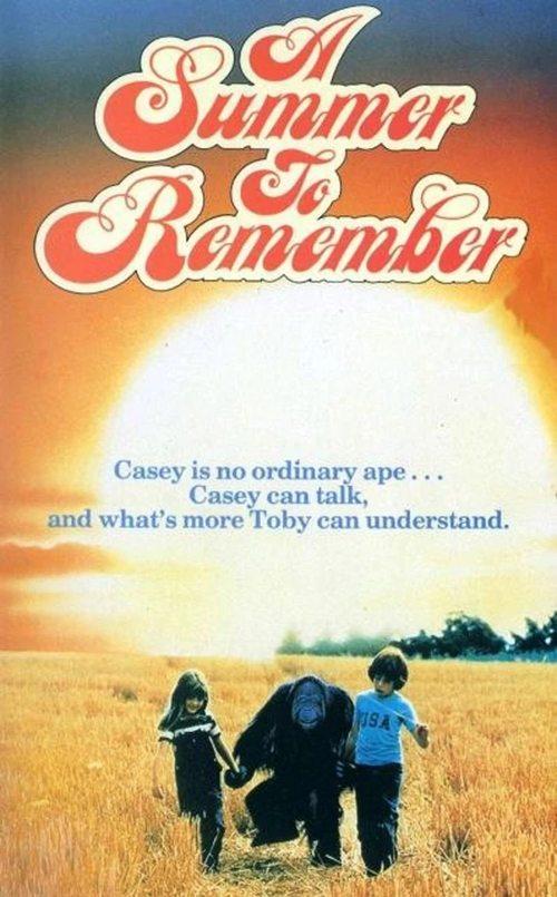 A Summer to Remember filmas online