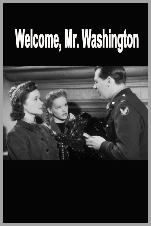 Welcome, Mr Washington filmas online