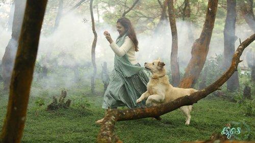 Koode filmas žiurėti online