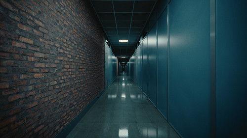 The Good Canadian filmas žiurėti online