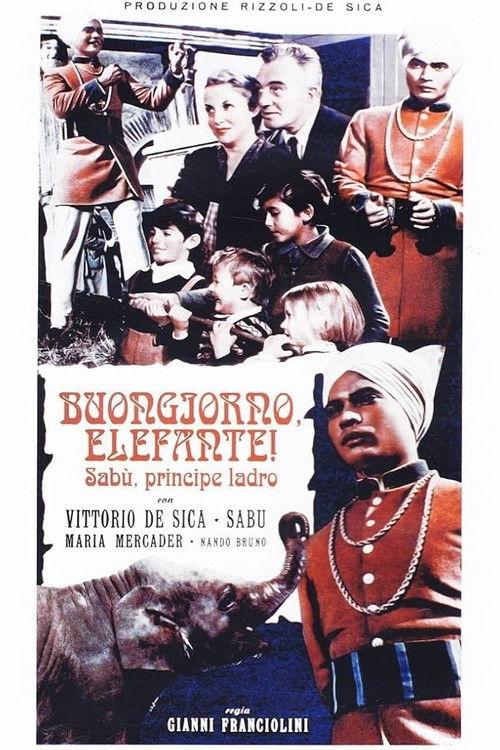 Buongiorno, elefante! filmas online