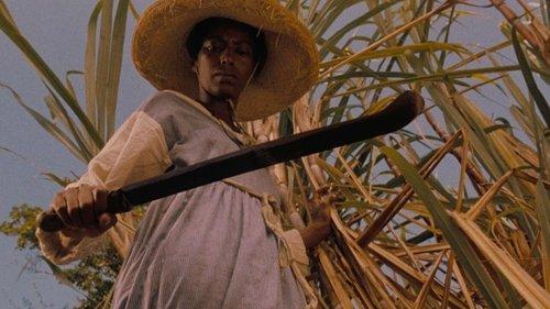 Sankofa filmas žiurėti online