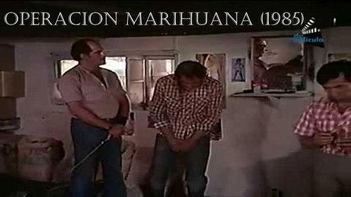 Operacion Marihuana filmas žiurėti online
