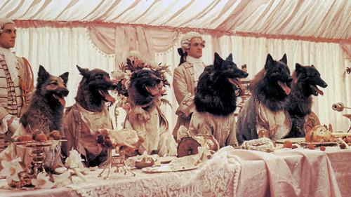 The Company of Wolves filmas žiurėti online