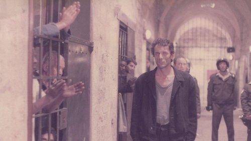 Beyond the Walls filmas žiurėti online