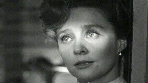 Summer Residents filmas žiurėti online