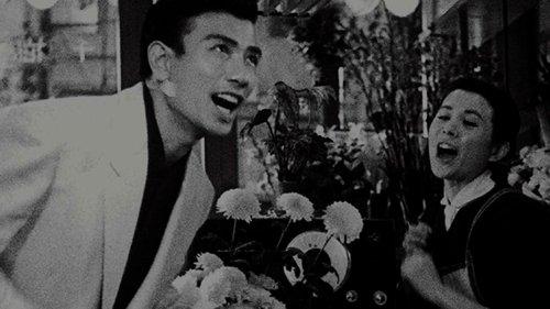 Beautiful Days filmas žiurėti online