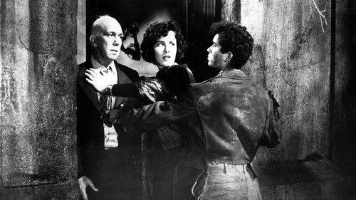 The Vicious Years filmas žiurėti online