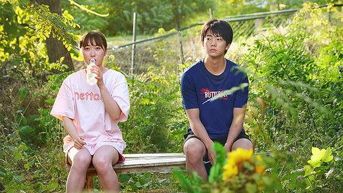 Climb Miss Kotera filmas žiurėti online