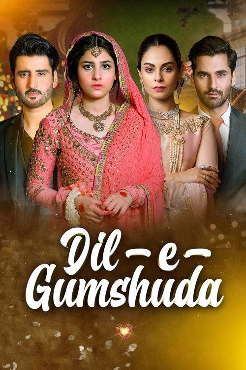 Dil e Gumshuda filmas online
