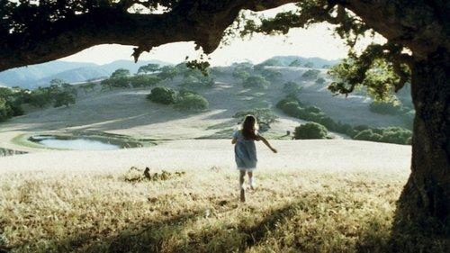 In Quiet Night filmas žiurėti online