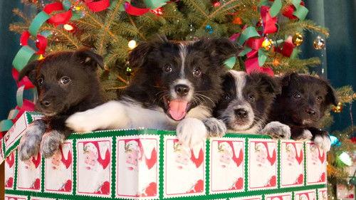 12 Dogs of Christmas: Great Puppy Rescue filmas žiurėti online