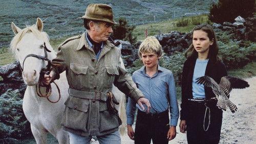 Run Wild, Run Free filmas žiurėti online